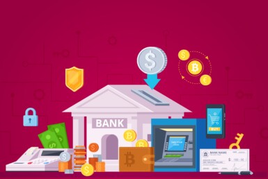payment institution